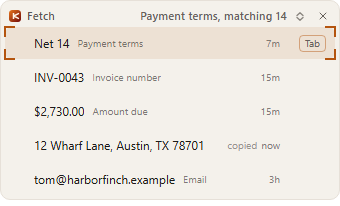 The Fetch list over a form box asking for payment terms: Net 14 on top, then an invoice number, an amount due, an address and an email, each with how long ago you had it